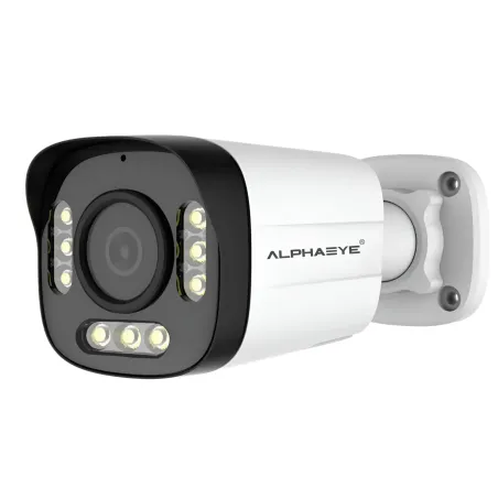 AlphaEye AE-N82H40MB SNV 8MP 4K Surveillance Camera - PoE, Dual IR + White Flash, WDR